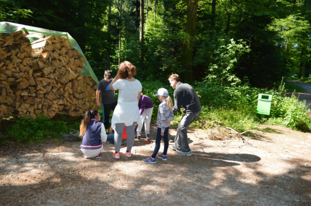 Bild (14)