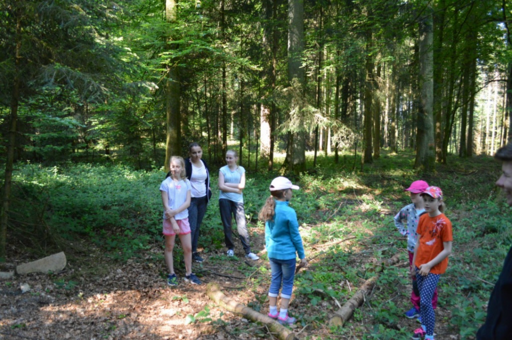 Bild (16)