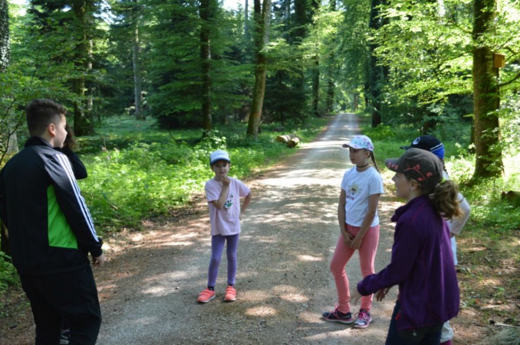 Bild (17)