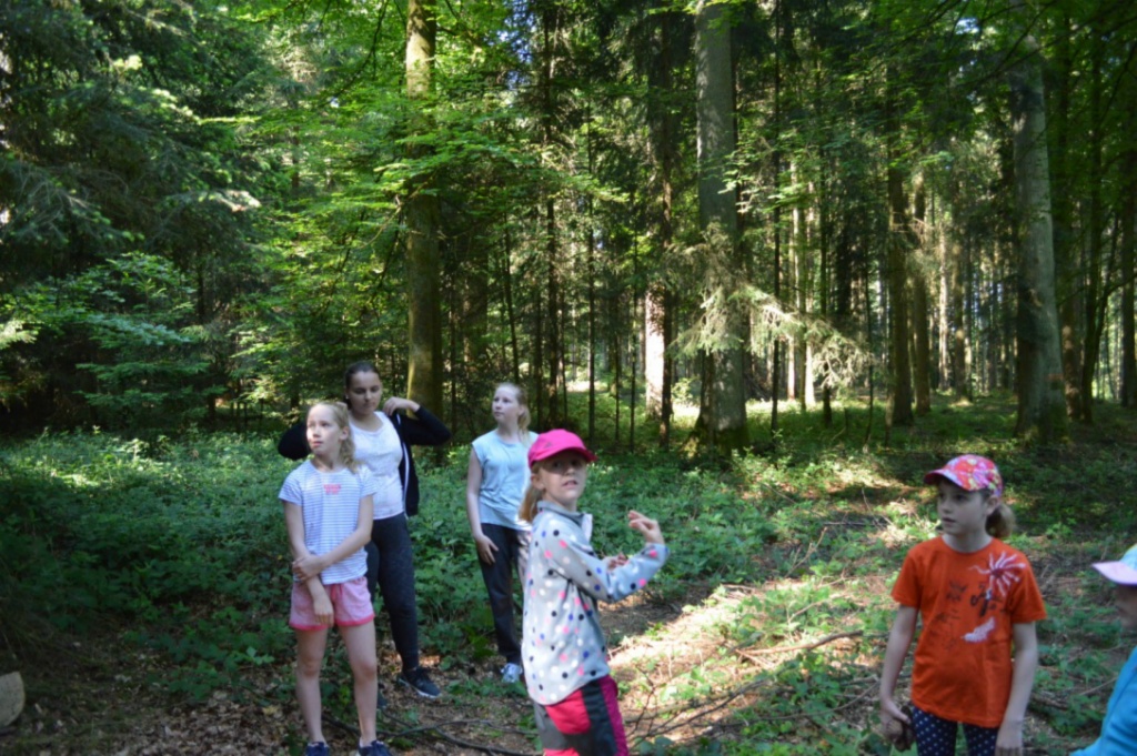 Bild (2)