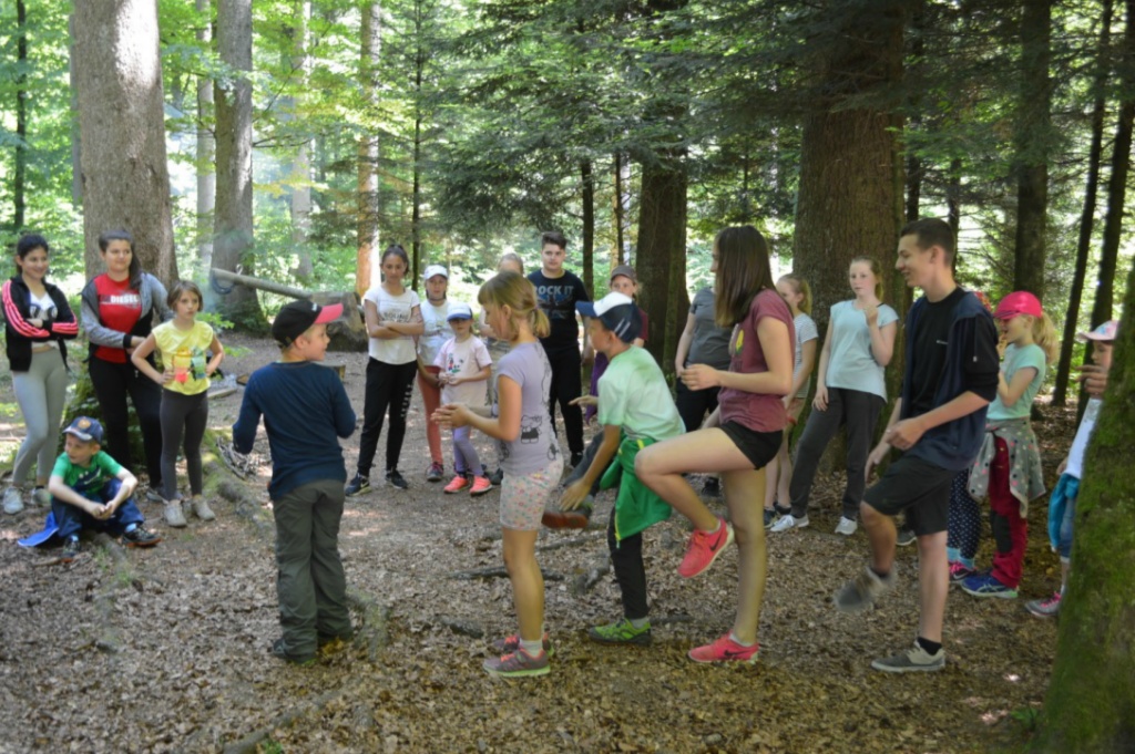 Bild (25)