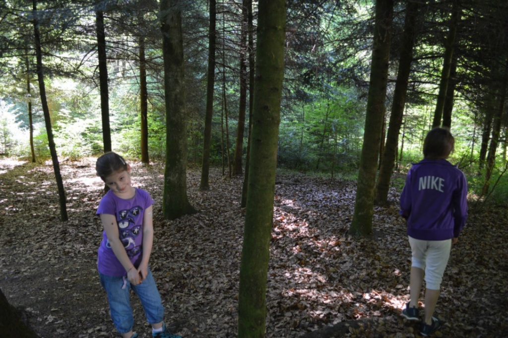 Bild (5)