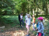 Tn Bild (1)