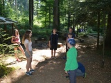 Tn Bild (11)