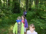 Tn Bild (12)