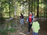 Tn Bild (13)