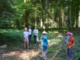 Tn Bild (16)