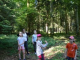 Tn Bild (2)