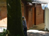 Tn Bild (20)