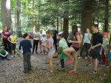 Tn Bild (25)