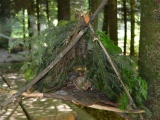 Tn Bild (27)
