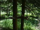 Tn Bild (28)