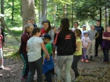 Tn Bild (8)