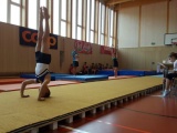 Tn Bild1(7)