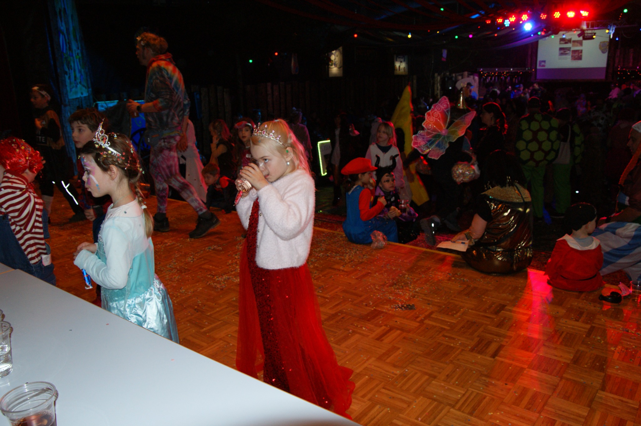 DSC05604